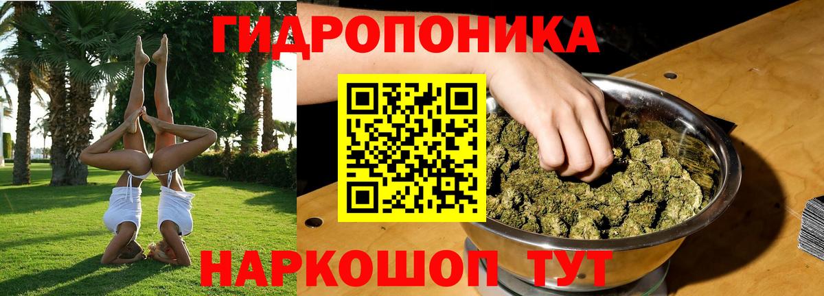 Шишки марихуана марихуана Черногорск